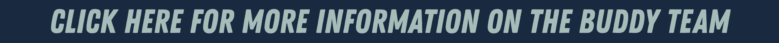 buddy info bar-01.png